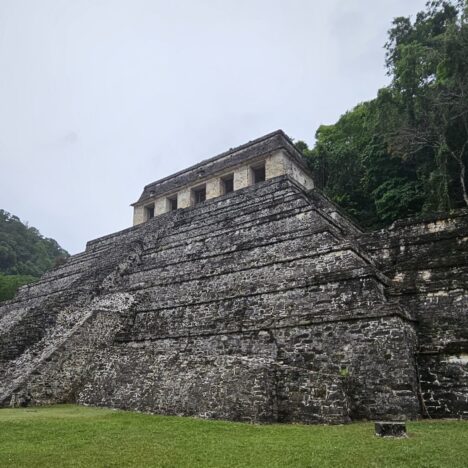 Calakmul: Een Dagtrip naar de Machtige Mayabeschaving