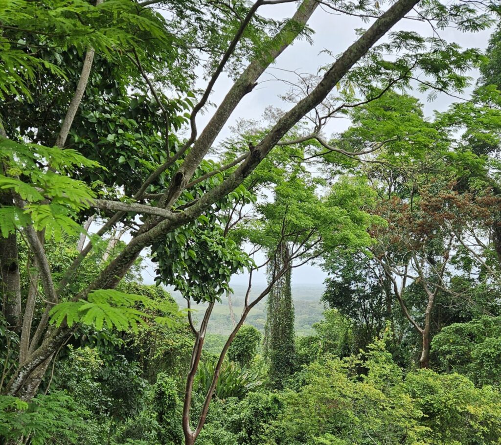 Palenque